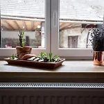 Prázdninový dům Waldviertel Auszeit - Lichtung Im Wald - Alleinlage