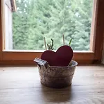 Ferienhaus Waldviertel Auszeit - Lichtung Im Wald - Alleinlage Scheiben