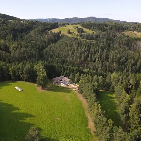 Holiday home Waldviertel Auszeit - Lichtung Im Wald - Alleinlage Scheiben
