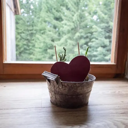 Holiday home Waldviertel Auszeit - Lichtung Im Wald - Alleinlage Scheiben