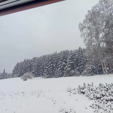 Waldviertel Auszeit - Lichtung Im Wald - Alleinlage * Scheiben