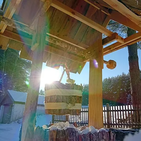 Holiday home Waldviertel Auszeit - Lichtung Im Wald - Alleinlage Scheiben