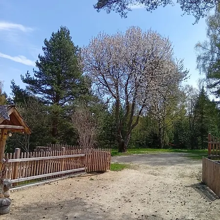 Waldviertel Auszeit - Lichtung Im Wald - Alleinlage Holiday home Scheiben