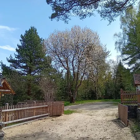 Waldviertel Auszeit - Lichtung Im Wald - Alleinlage Holiday home Scheiben