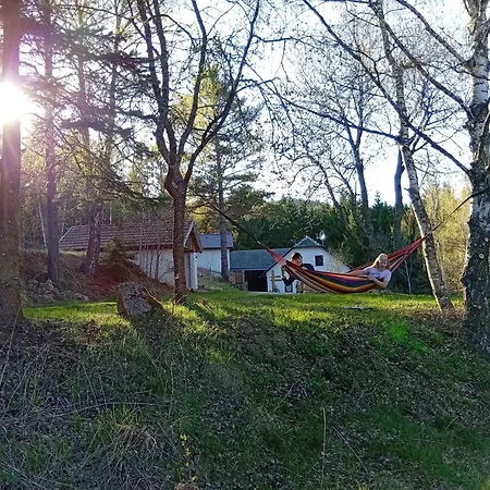 Holiday home Waldviertel Auszeit - Lichtung Im Wald - Alleinlage *