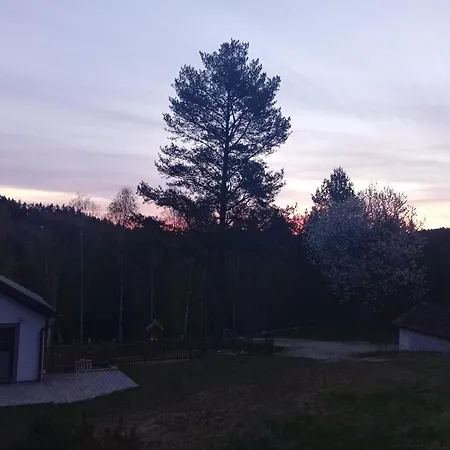 Waldviertel Auszeit - Lichtung Im Wald - Alleinlage