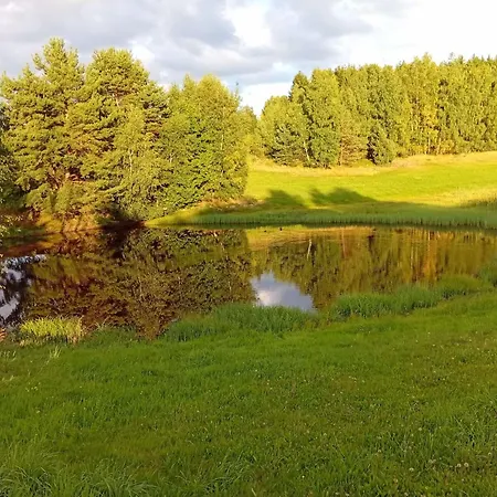 Waldviertel Auszeit - Lichtung Im Wald - Alleinlage * Scheiben